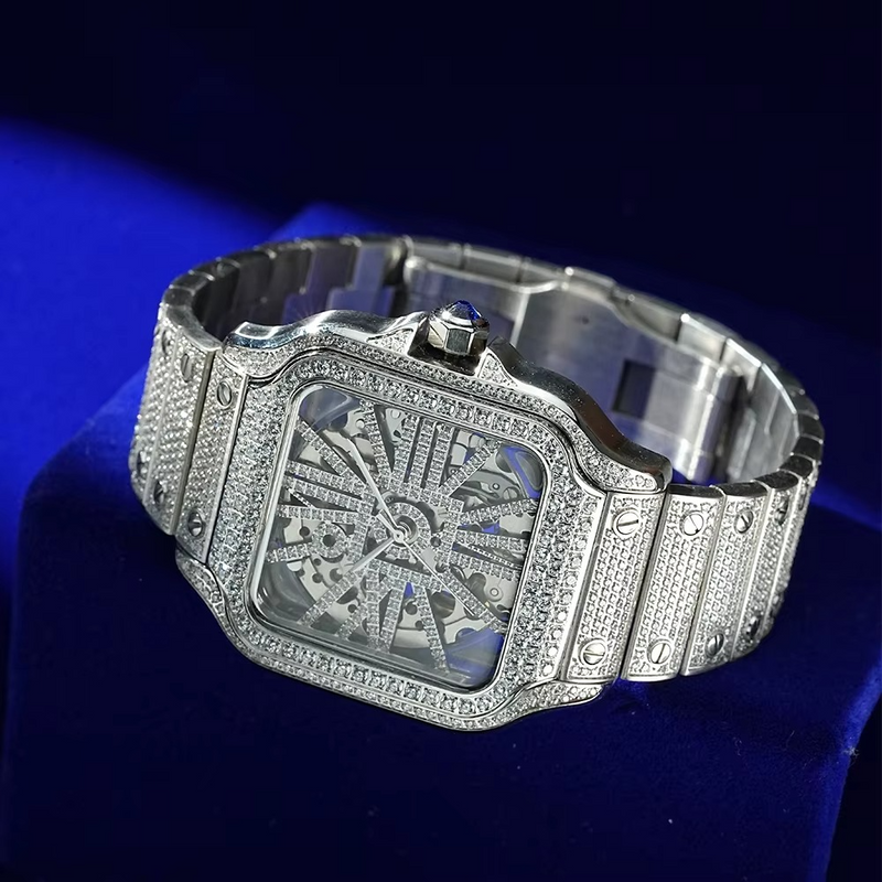 Skeleton Ice Automatic Watch | Bold Transparent Design